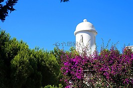樹,天空,架構(gòu)