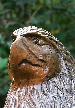 holzfigur,鳥,頭