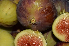 無(wú)花果,弗里施,水果
