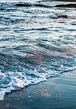 海,海洋,水