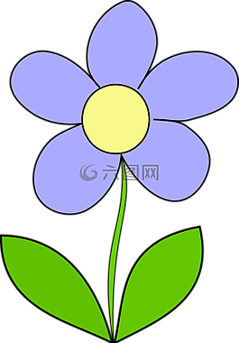 雏菊,紫色,花