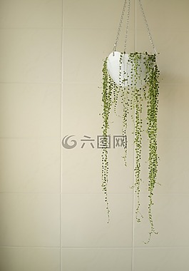 佛珠,懸掛,飾品（架構(gòu)）