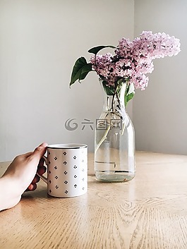 顯示,粉紅色,花