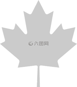 枫,叶,加拿大