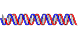 dna,科學,生物學