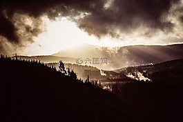 森林,山,草