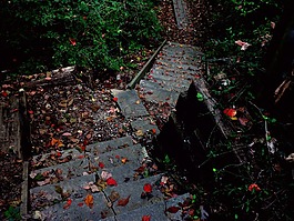 樓梯,路徑,徒步旅行