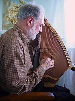 kantele,音樂家,弦樂器