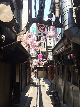 东京,新宿,城市