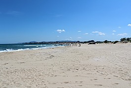 海灘,夏天,普里莫