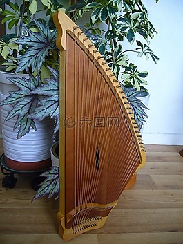 kantele,音樂家,弦樂器