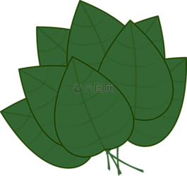 葉子,束,綠色