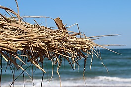海灘,夏天,普里莫