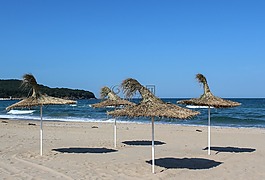 海灘,夏天,普里莫