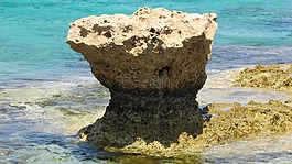 石,海滩,海