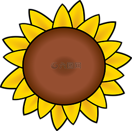 向日葵,花瓣,图
