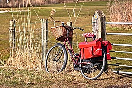 自行車,車輛,運輸