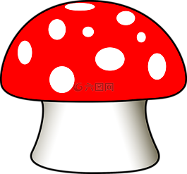 蘑菇,毒菌,菌类