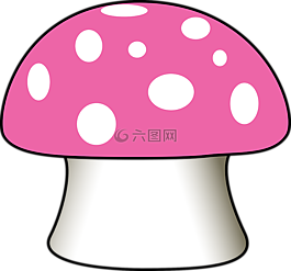 蘑菇,发现,毒菌