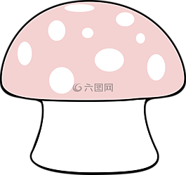 蘑菇,发现,毒菌