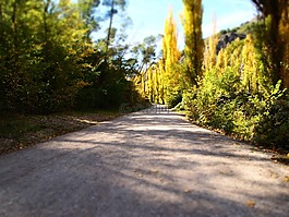 路徑,路線,秋