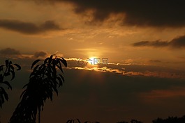 支,太陽,云