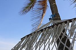 海灘,吊床,打破