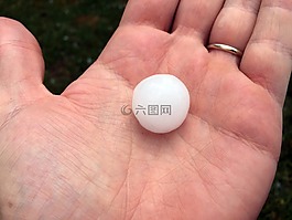 grelon,風(fēng)暴,乒乓球
