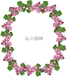 帧,边境,花栗