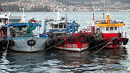 捕鱼,海,船