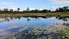 池,反思,湖