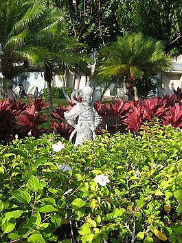 花園,花,植物