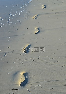 腳,海灘,海