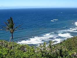 海灘,沖浪,波