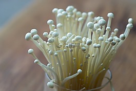 蘑菇,食品,健康