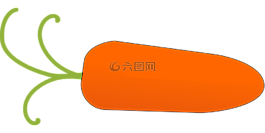 胡蘿卜,蔬菜,食品