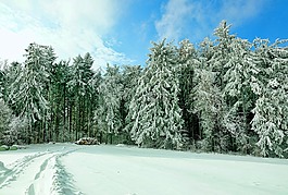 雪,冬天,冷