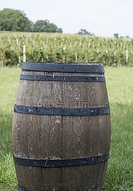 波爾多,vintunna,法國