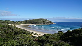 海灘,島,海洋