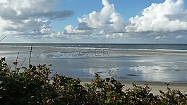 北海,海,水