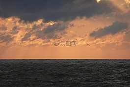 日落,海,地平線