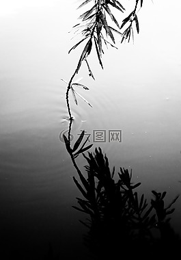 反思,觸摸,水