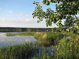 p,polazna,r
