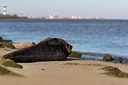 水域,海灘,海岸