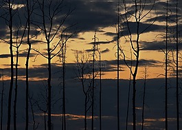 日落,景區(qū),景觀