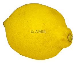 檸檬,成熟,柑橘