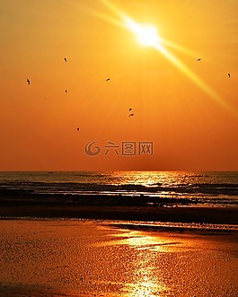 日落,海,海灘