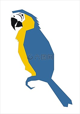 鸚鵡,圖像,鳥