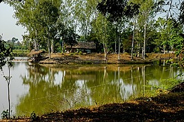 景觀,湖,樹木
