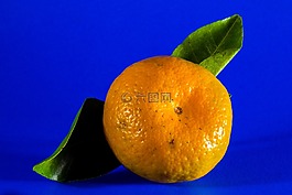 橙,普通話,水果